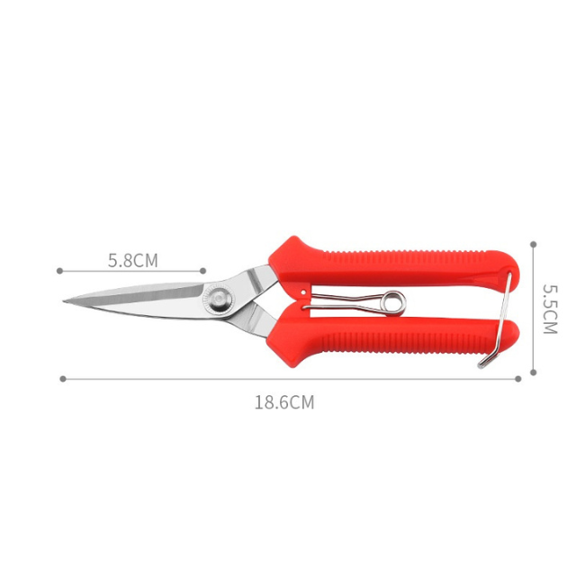 Blade Precision Precision Straight (ESG21618)